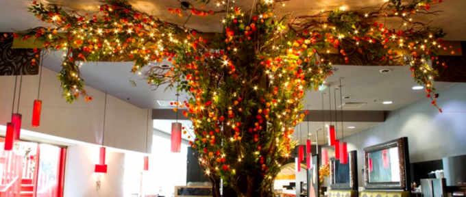 yang sing christmas blog