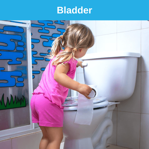 Resources for bladder and bowel problems in children bbuk