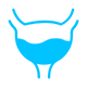 Blue outline of a stylized bladder symbol, representing urinary health, anatomy, or medical topics.