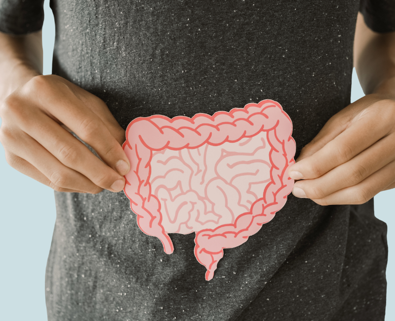 Person holding a pink cut-out illustration of the human intestines against their stomach, symbolizing gut or digestive health.