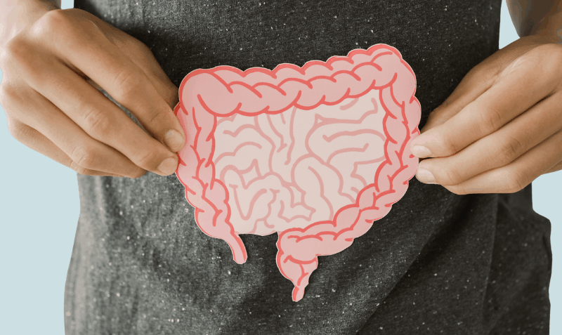 Person holding a pink cut-out illustration of the human intestines against their stomach, symbolizing gut or digestive health.